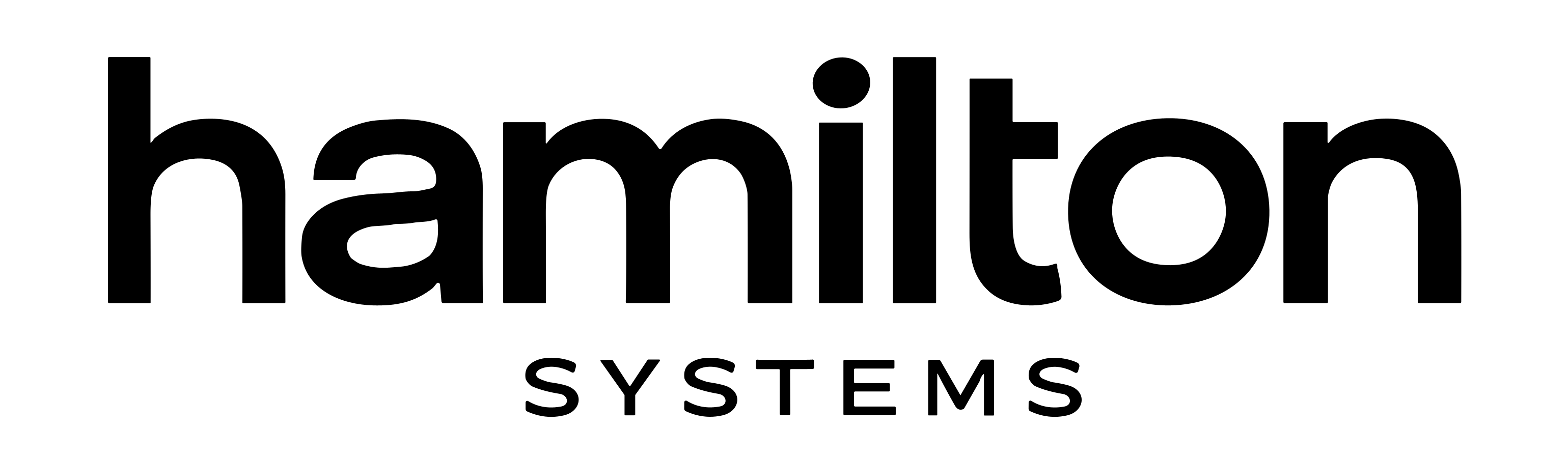 Hamilton Systems